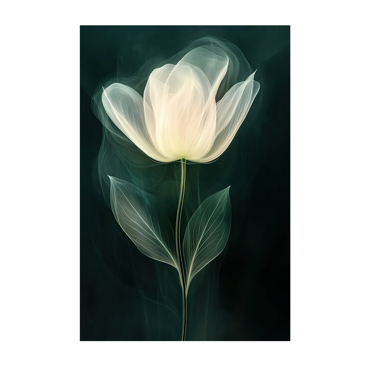 Whisper of Light | Elegant Floral Fine Art Print | Modern Home Decor | Nature Inspired Wall Art